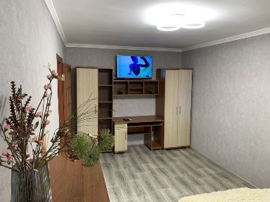 1-2-3-4х кімнатна квартира подобово. Центр.