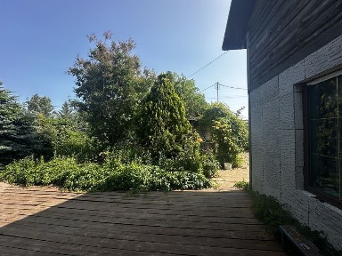 Одеська область, Чорноморськ