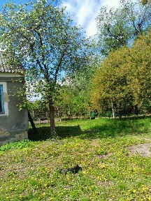 Половина будинку, 3 кімнати, 55,5 м. кв., 3,6 сот.