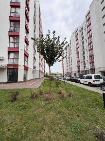 Івано-Франківська область, Івано-Франківськ