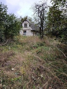 Дачний будинок в Осиково