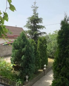 Оренда будинку 160 м², Залужна вул.