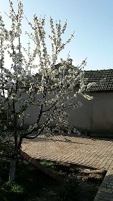 Продажа дома 103 м²