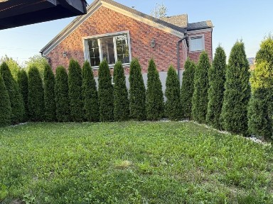 Здається дуплекс р-н ТЦ Майдан