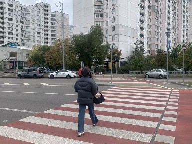 Київ, Деснянський, вулиця Милославська 41/15