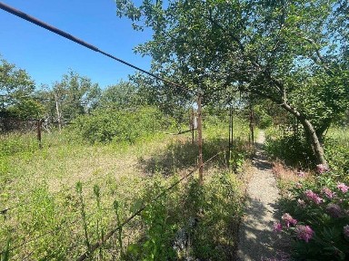 Продам дачу, 6 соток, СТ Барвінок, с. Горького