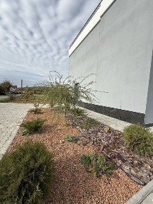 Новобудова! Чисте повітря! Тиша!