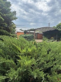 Одеська область, Одеса, Київський