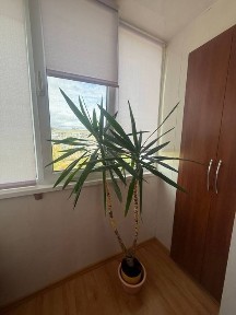 Сдам 3-комн. кв на Победе с мебелью и техникой