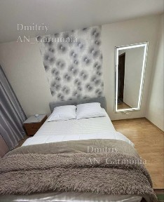 2-к Мотель, можно животное