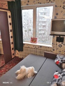 Сдам 2-ком. кв., м.Победа