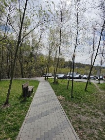 Київська область, Київ, Шевченківський