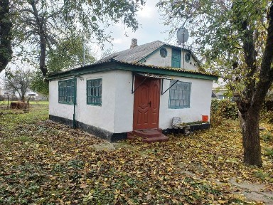 Княжичі, будинок 85кв. м. в центрі села з комунікаціями, 20 соток