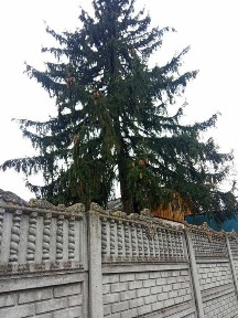 Продам житловий будинок