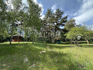 Без % Продаж дачного будинку на ділянці 80 соток в с. Проців