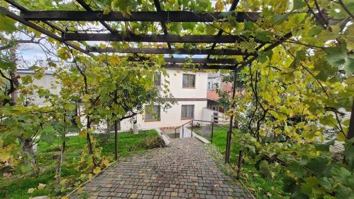 Одеська область, Одеса, Хаджибейський