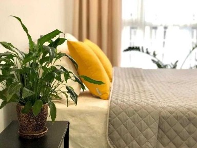 Київська область, Київ, Оболонський