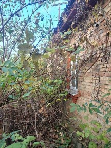 Димер, цегляний будинок 71 кв. м з газом і пічкою