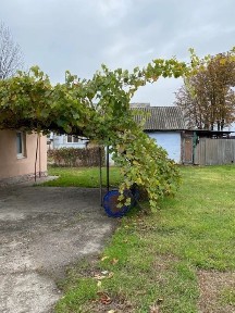 Дніпропетровська область, Дніпро, Амур-Нижньодніпровський