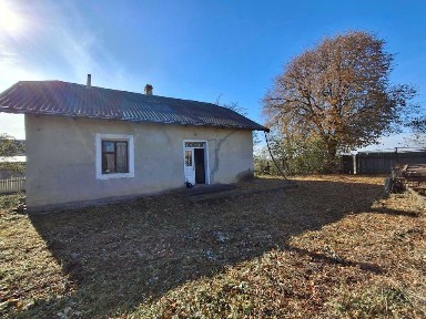 Продаж будинку 61кв, ділянка 25 сотих, Грушка, світло, вода