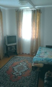 Продається будинок з великим подвір'ям і садом