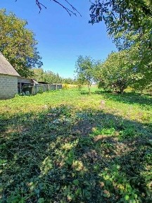 Київська область, Бородянка