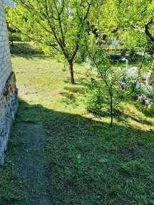 Дача в с. Вольногрушевское