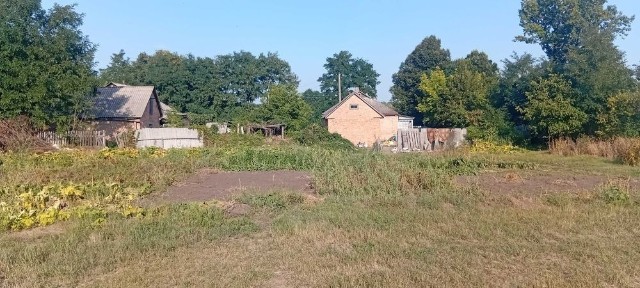 Будинки в с. Гайдамацьке (Єлизаветградка)