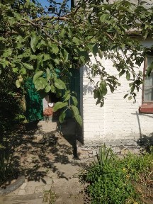 Обменяю полдома на квартиру, или продам