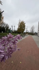 Продаж 2-к квартири 61м2 в ЖК Білий шоколад Білогородка