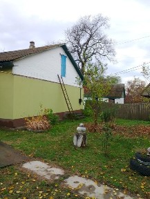 Дім в селі Зуївці Полтавська область, поруч з річкою та лісом