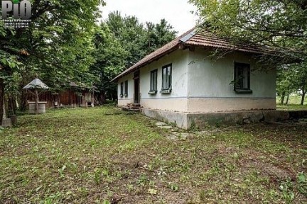 Будинок в с. Сопів