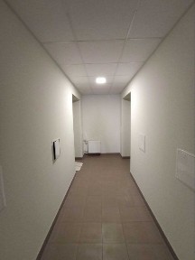 Харківська область, Харків, Шевченківський