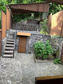 Котедж у Карпатах