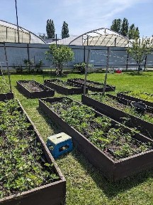 БЕЗ % Продається будинок 205 кв. м с. Мала Олександрівка