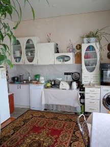 Новий, затишний будинок поруч з річкою, Патлаївка, зі зручностями