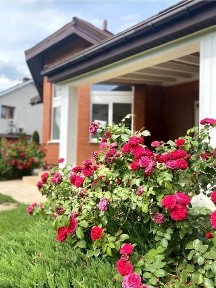 Довгострокова оренда будинку в комплексі «Бобриця парк»