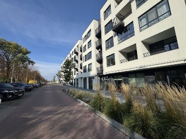 Рівненська область, Рівне