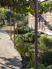 Участок, ділянка дача з будинком