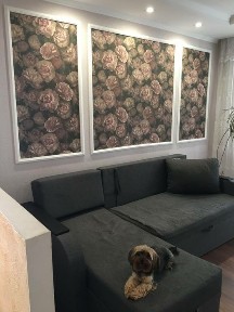 Дніпропетровська область, Кам'янське