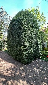 Одесса, Хрустальная ул., 10