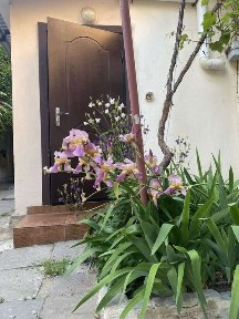 Аренда длительно центр у моря 1эт газ можно животное