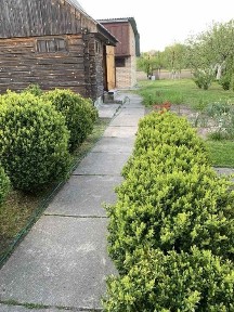 Продаж будинку село Кочерів Житомирської області