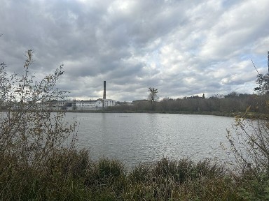 Продам будинок біля озера в Городищі