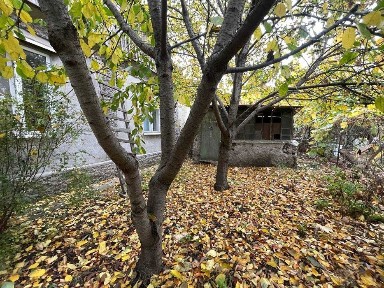 Одеська область, Одеса, Київський