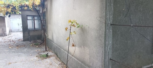 Одеська область, Ізмаїл