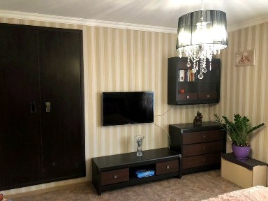 Дніпропетровська область, Дніпро, Центральний