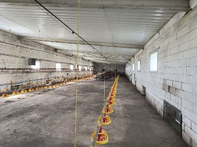 Ферма для вирощування птиці.