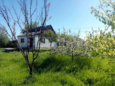 Сдам дом с. Спасское (собственник)