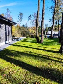 Київська область, Буча